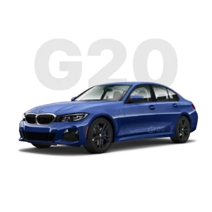 G20