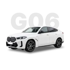 G06